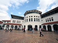 梅西大学 